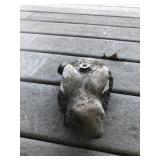 Rabbit Lawn Sprinkler