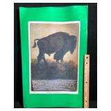 Abercrombie and Fitch Buffalo Repro Poster