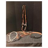Leather Bridle Set with Bits and Leashes