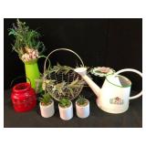 Home Decor Lot Watering Cans and Succulents