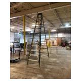 Werner FSA12 Fiberglass Step Ladder