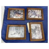 4 pc. Framed Nature Prints