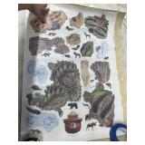 Assorted Posters