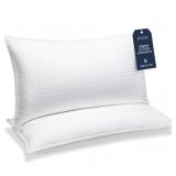 2 Pk Beckham Hotel Collection Down Alternative Pil