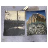 2 Canvas Paintings - 1 by Terry Harris