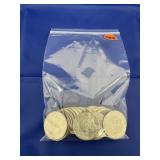 Bag of 20 Half Dollars