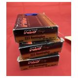 3 Pcs - 223 Remington Ammo