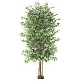 7Ft Artificial Ficus Tree- Includes Dry Moss