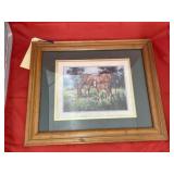 Framed Horse Pic