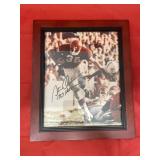 Framed #36 Signed Football Pic OU