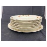 Jewel Tea  Dinnerware - 7 Bowls & Platter