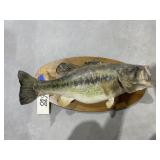 Decorative Fish
