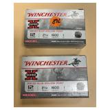2pc - 12 Gauge Slug