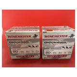 2pc - 20 Gauge Ammo