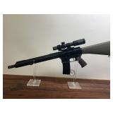 Palmetto Model PA15 223