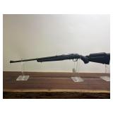 Ruger American 22 WMR