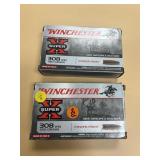 2pc - 308 Ammo