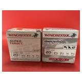 2pc- 20 Gauge Ammo