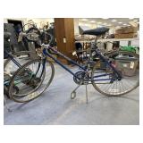 10-Speed Free Spirit Women