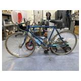 Schwinn Men