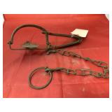 Small Animal Trap