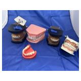 5 Sets Teeth Models