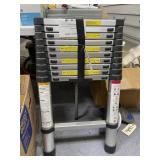 Telescopic Aluminum Ladder