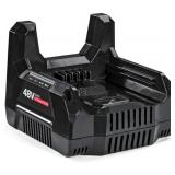 Briggs & Stratton 48VF Max Battery Charger For Sna