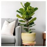 SQOWL, Ceramic Planter For Indoor Plants, 10" Wit