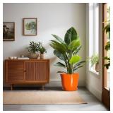 10 Inch Plant Pot, Ceramic Pot For Plants With Dra
