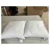 2 white standard 100 24 x24  pillows