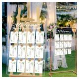 Wedding Seating Chart Board 20x28 Acrylic 2pcs