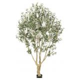 Realead 7ft Olive Tree - Realistic Indoor