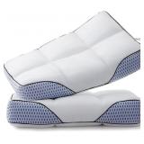 Glaciman Foam Pillows, 15x25x4, 2-Pack