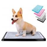 Pet Awesome Dog Potty Tray 25x20 Indoor Wee