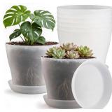 6 Pack 8 Inch Clear Nursery Pots Plant Pots with L