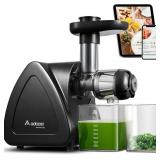Juicer Machine, Aobosi Slow Masticating Juicers, C