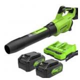 Greenworks 2x24V Blower (2) 5 AH Batteries and Dua