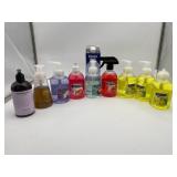 10 Ct Hand Soap