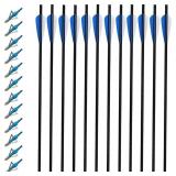 20 Inch Carbon Crossbow Bolts 12 Pack and 12 Pack