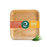ECO SOUL 100% Compostable Biodegradable Disposable