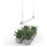 Apicdom 2 Ft Grow Light