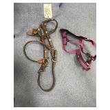 Leather Halter & Dog Harness