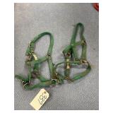 2 - Halters