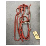 Bit - Halter - Reins