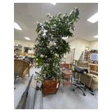 Large Faux Tree in Wicker Planter approx 7ft