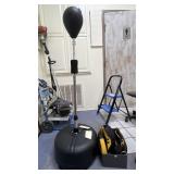 Century Padded Headgear - Shin Guards - Mitt