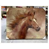Large Horse Canvas 50"x40"