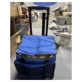 California Innovations Insulated Cooler