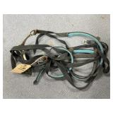 Bit - Halter - Reins